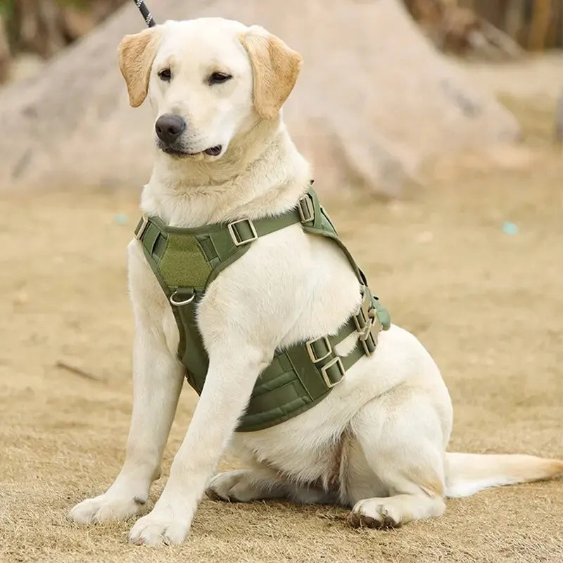 Tactical Dog Harness for Medium Large Dogs No Pull Adjustable Dog Vest for Training Hunting Walking Military Dog Harness